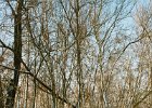 20040101 37 sneeuw